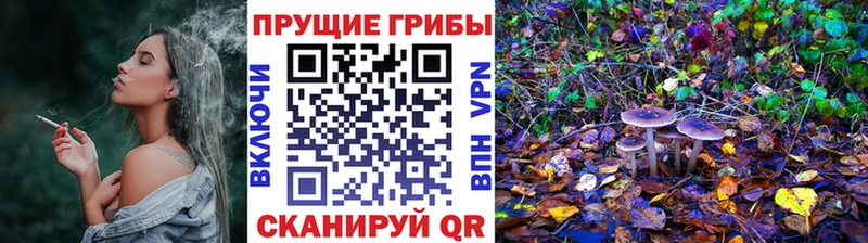 Псилоцибиновые грибы прущие грибы  Чишмы 